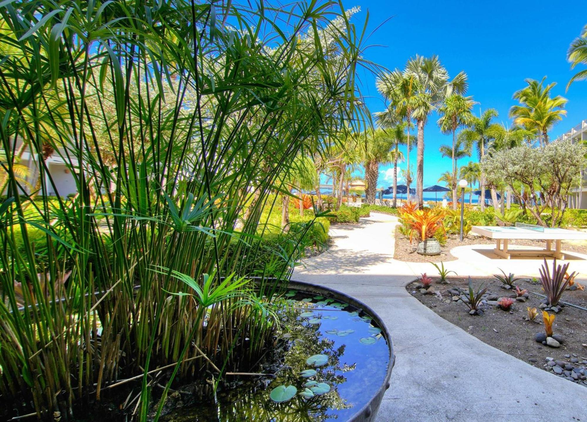 Rincon Of The Seas Grand Caribbean Hotel Exterior foto